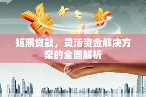 合作短期贷款，灵活资金解决方案的全面解析