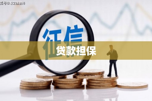 合作贷款担保