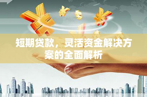 合作短期贷款，灵活资金解决方案的全面解析