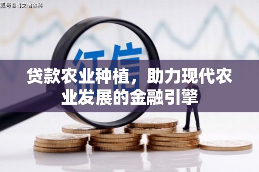 合作贷款农业种植，助力现代农业发展的金融引擎