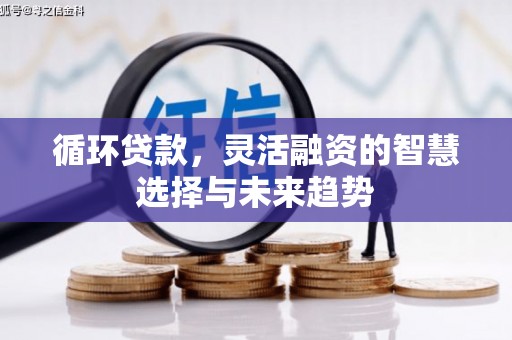 合作循环贷款，灵活融资的智慧选择与未来趋势