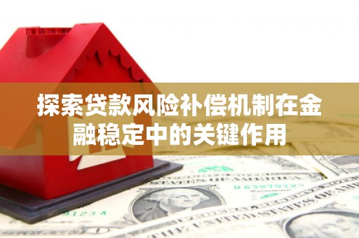合作探索贷款风险补偿机制在金融稳定中的关键作用