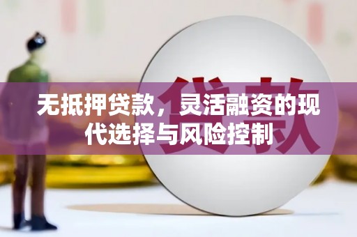 合作无抵押贷款，灵活融资的现代选择与风险控制