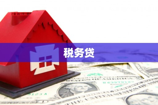 合作税务贷