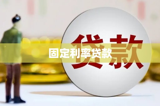 合作固定利率贷款