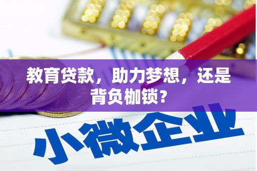 合作教育贷款，助力梦想，还是背负枷锁？