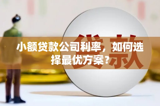 合作小额贷款公司利率，如何选择最优方案？