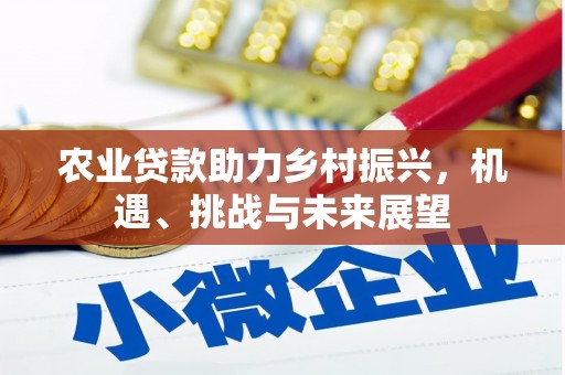 合作农业贷款助力乡村振兴，机遇、挑战与未来展望