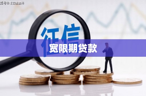 合作宽限期贷款