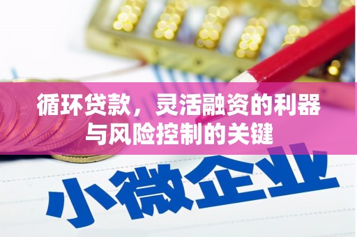 合作循环贷款，灵活融资的利器与风险控制的关键