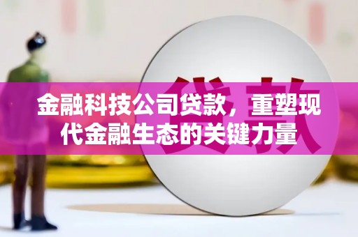 合作金融科技公司贷款，重塑现代金融生态的关键力量