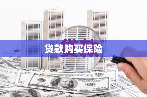 合作贷款购买保险