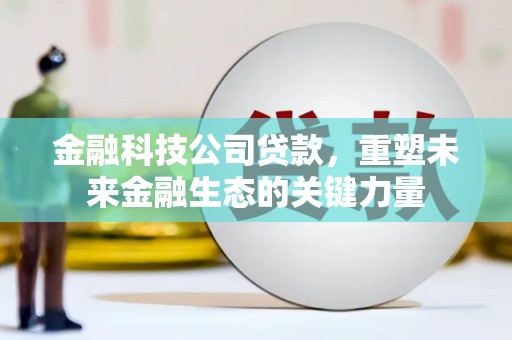 合作金融科技公司贷款，重塑未来金融生态的关键力量
