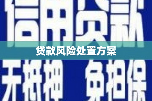 合作贷款风险处置方案