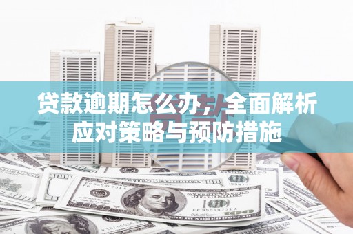 合作贷款逾期怎么办，全面解析应对策略与预防措施