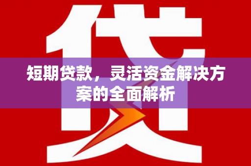 合作短期贷款，灵活资金解决方案的全面解析
