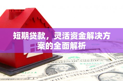 合作短期贷款，灵活资金解决方案的全面解析