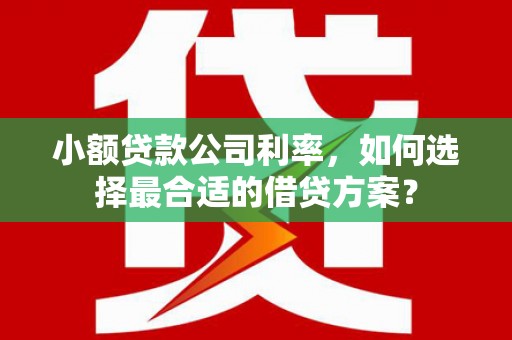 合作小额贷款公司利率，如何选择最合适的借贷方案？
