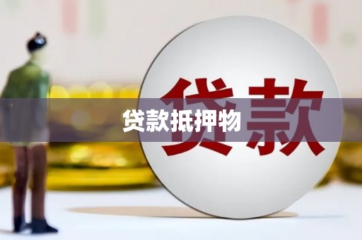 合作贷款抵押物