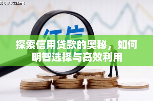 合作探索信用贷款的奥秘，如何明智选择与高效利用