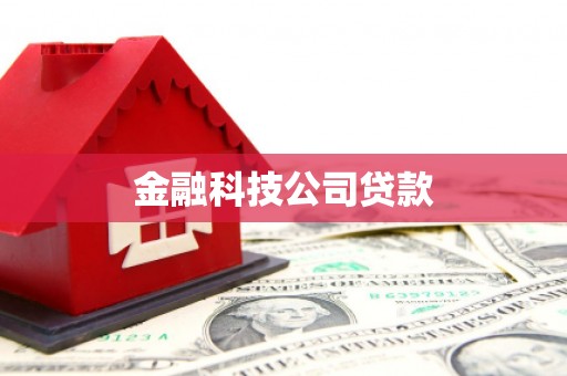 合作金融科技公司贷款