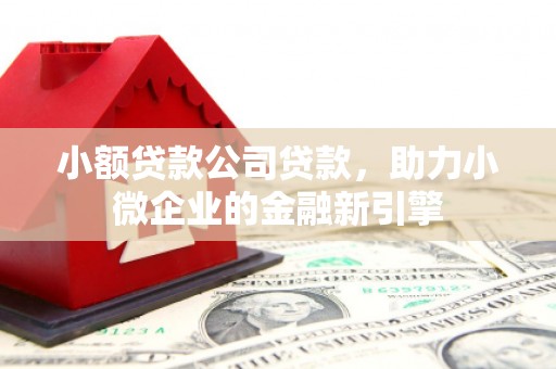 合作小额贷款公司贷款，助力小微企业的金融新引擎