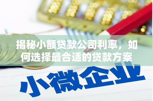合作揭秘小额贷款公司利率，如何选择最合适的贷款方案
