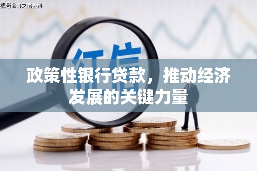 合作政策性银行贷款，推动经济发展的关键力量