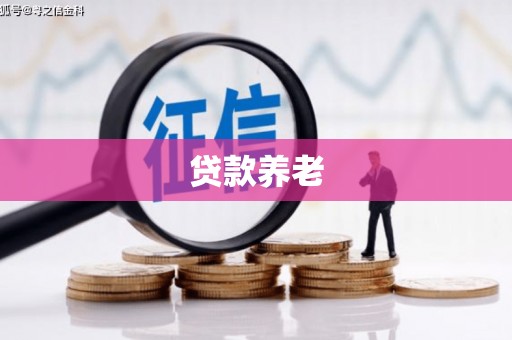 合作贷款养老