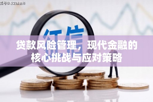 合作贷款风险管理，现代金融的核心挑战与应对策略