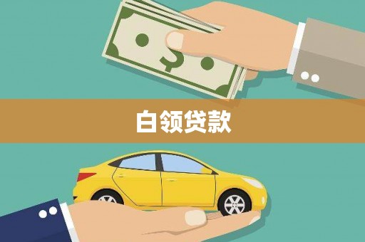 合作白领贷款