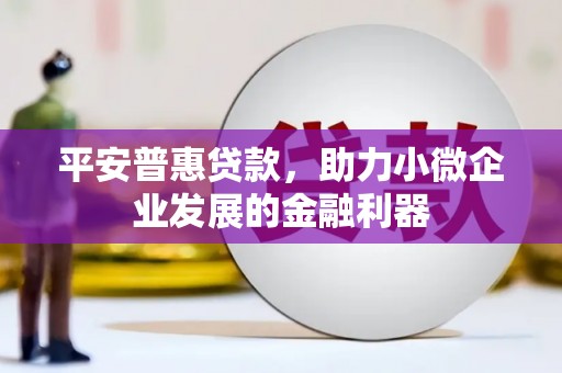 合作平安普惠贷款，助力小微企业发展的金融利器