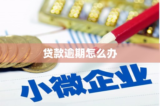合作贷款逾期怎么办