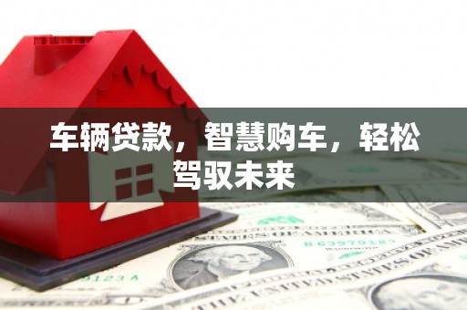 合作车辆贷款，智慧购车，轻松驾驭未来