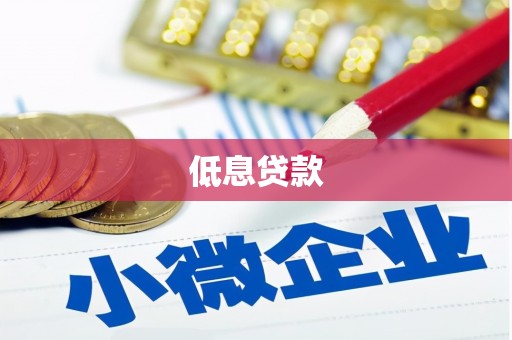 合作低息贷款
