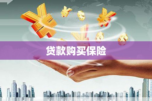 合作贷款购买保险