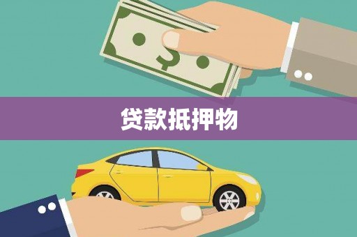 合作贷款抵押物