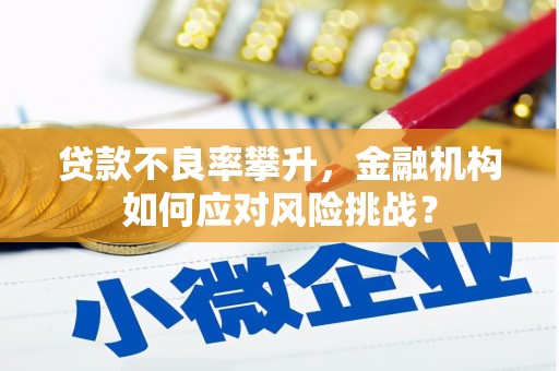合作贷款不良率攀升，金融机构如何应对风险挑战？