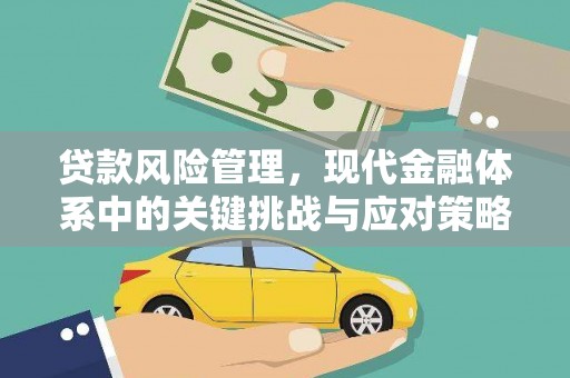 合作贷款风险管理，现代金融体系中的关键挑战与应对策略