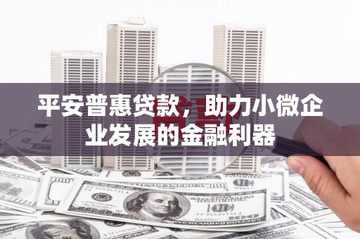 合作平安普惠贷款，助力小微企业发展的金融利器