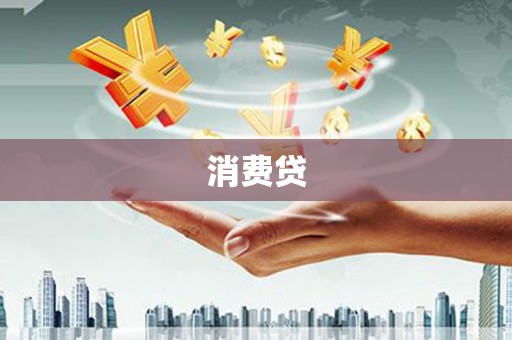 合作消费贷