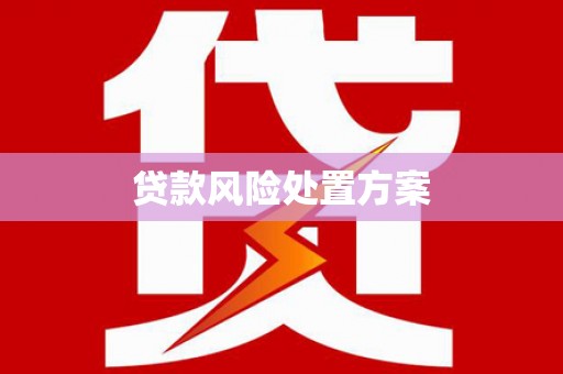 合作贷款风险处置方案