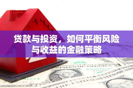 合作贷款与投资，如何平衡风险与收益的金融策略